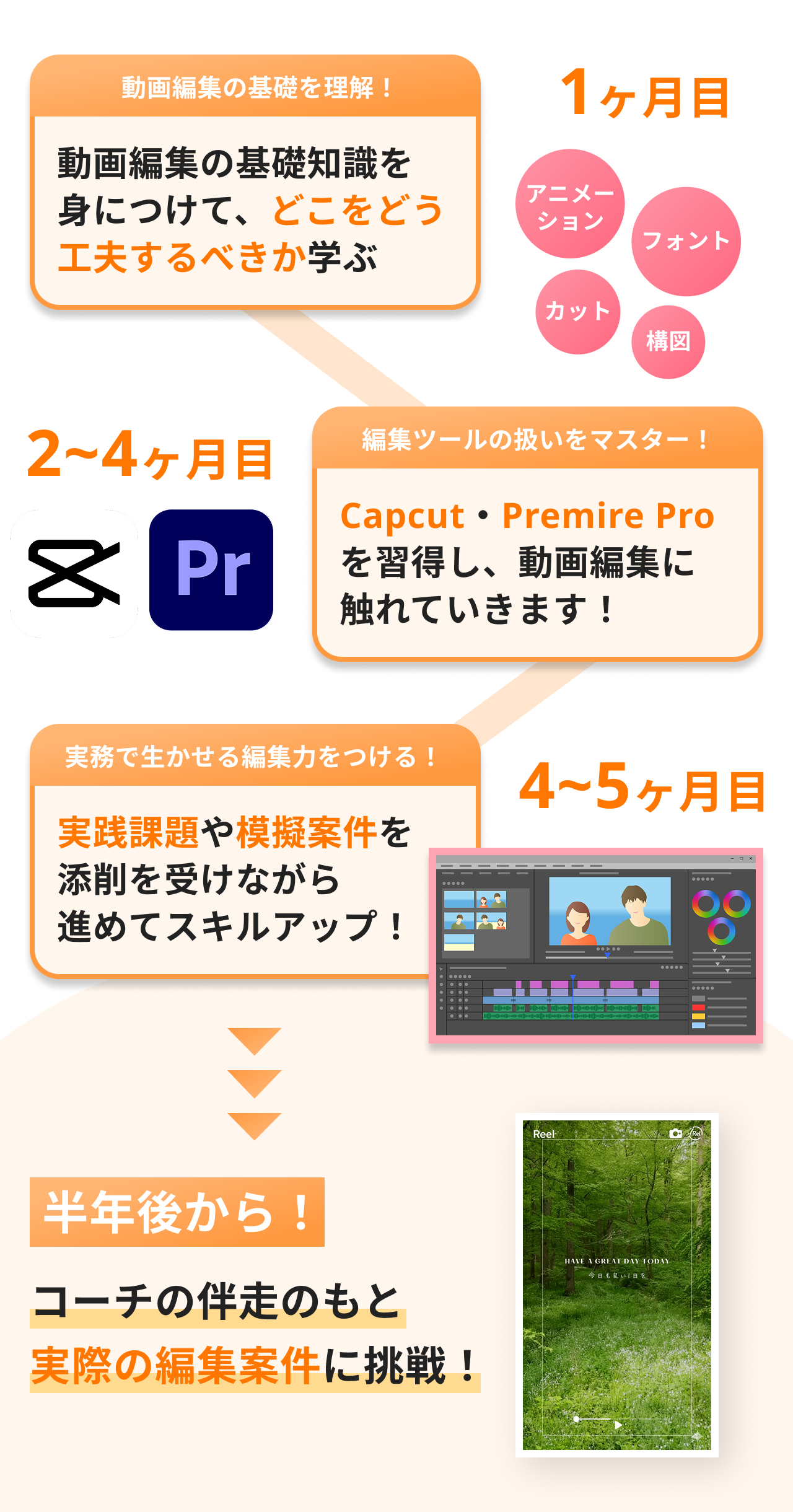 内容画像3